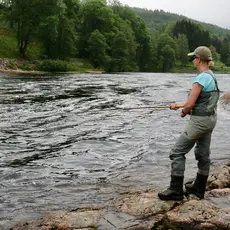 Tovdalselva bilde