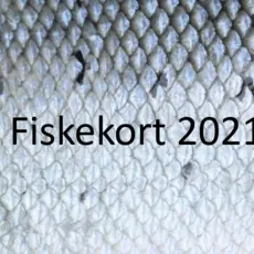 fiskekort 2021,2.PNG