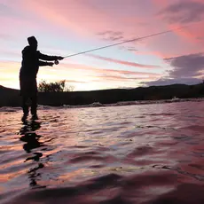 Kongsfjordelva gjestefiske