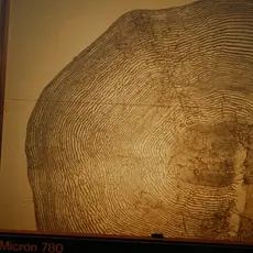 Glomma Aagardselva bilde av skjell