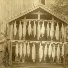 Røssåga_Korgen camping storlaks