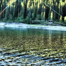 Fiske Meforsen