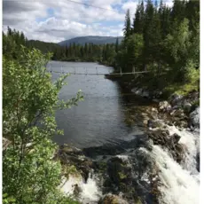 Sausvassdraget