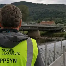 oppsyn_eksempel