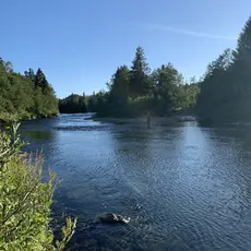 Drevjo_0311