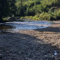 Storelva tørke 2021