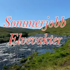Vaktjobb