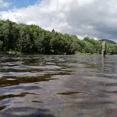 Numedalslågen_eksempelbilde