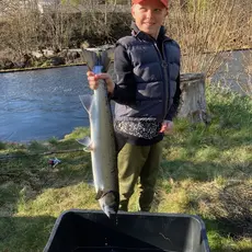 Stolt Fisker