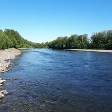 Verdalselva