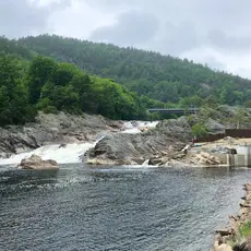 Foss Boen