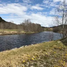årsmøte
