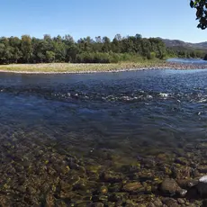 Repokoski_Lakselva
