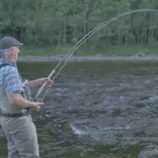 Laksefiske i Stjørdal