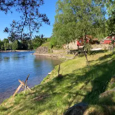 Holehaugen