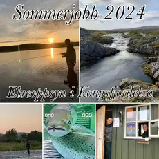 Sommer 24