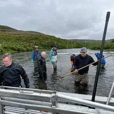 Pukkellaksfelle i Kongsfjord