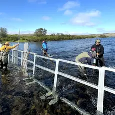 Felle i Kongsfjordelva