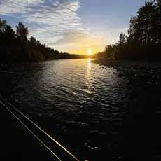 Elv