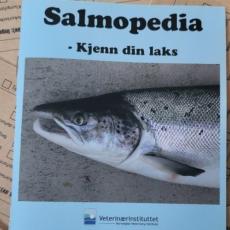 Salmopedia 