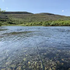 Kongsfjordelva Stilla