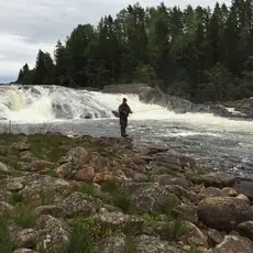 Teinefoss