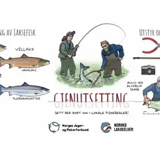 Gjennutsetting_verdalselva