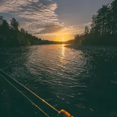 Solnedgang