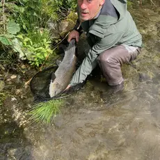 Sjøaure 5.2kg Etne