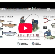 Gjenutsettingsfilm