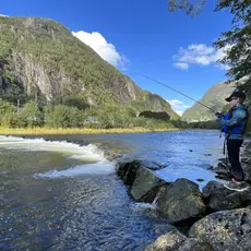 Ung fiskar langs elva