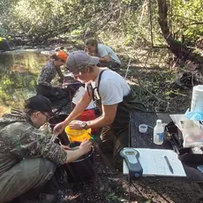 NMBU på elfiske og merking_verdalselva