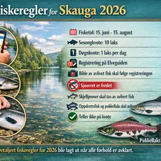 Fiskeregler