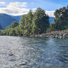 BROHØLEN I NEDRE LYSNE