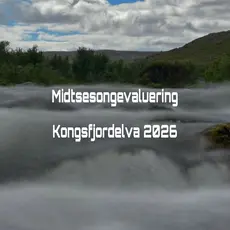 Midtsesong