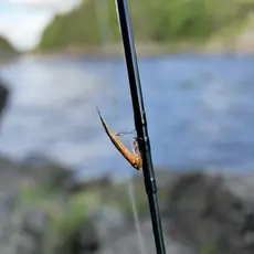 Mandalselva 070826.jpeg