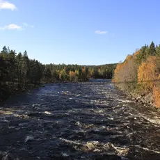 Tovdalselva