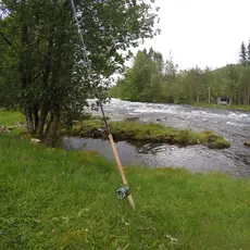 Eidselva