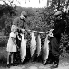 Historisk storlaks