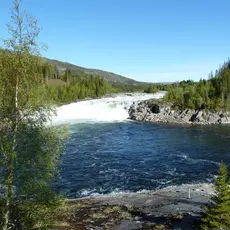 Laksforsen i Vefsna