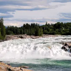 Lakseforsen i Vefsna