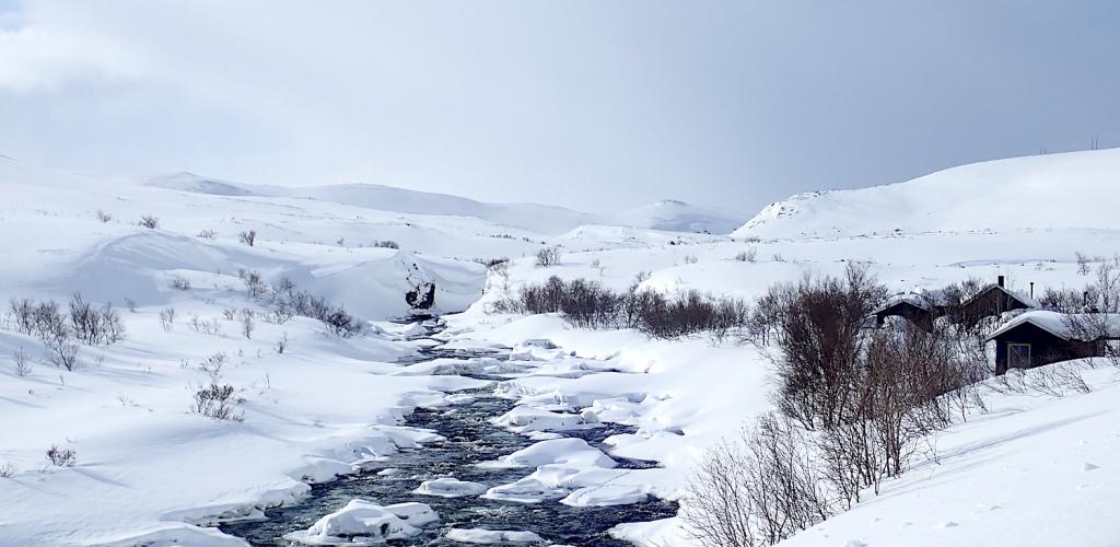 Kongsfjordelva - vinter