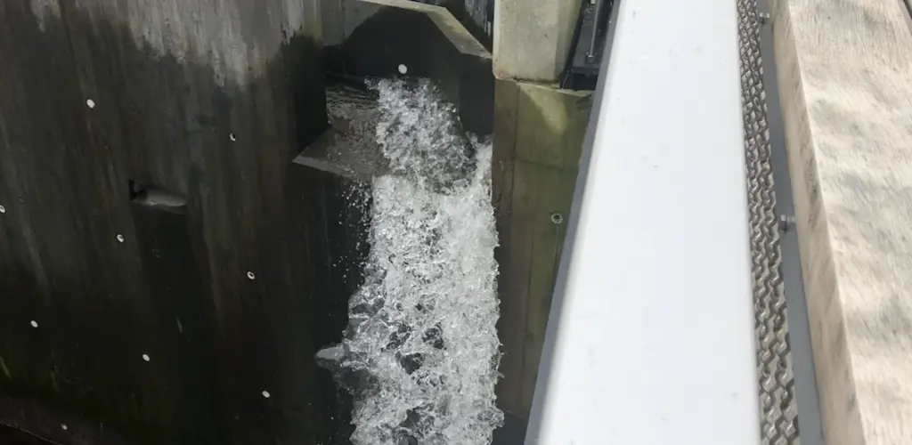 Smoltrenne i Lundeelva