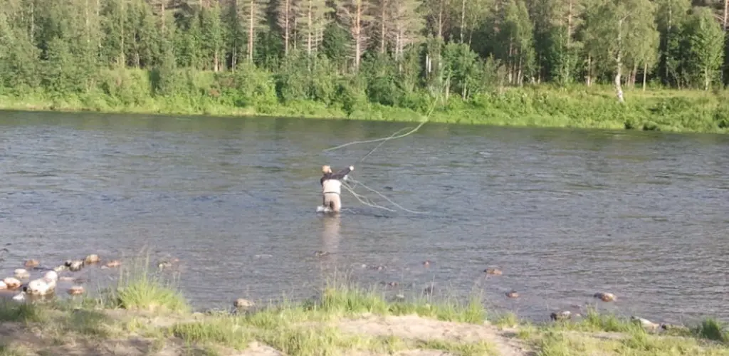 Målselva fluefiske
