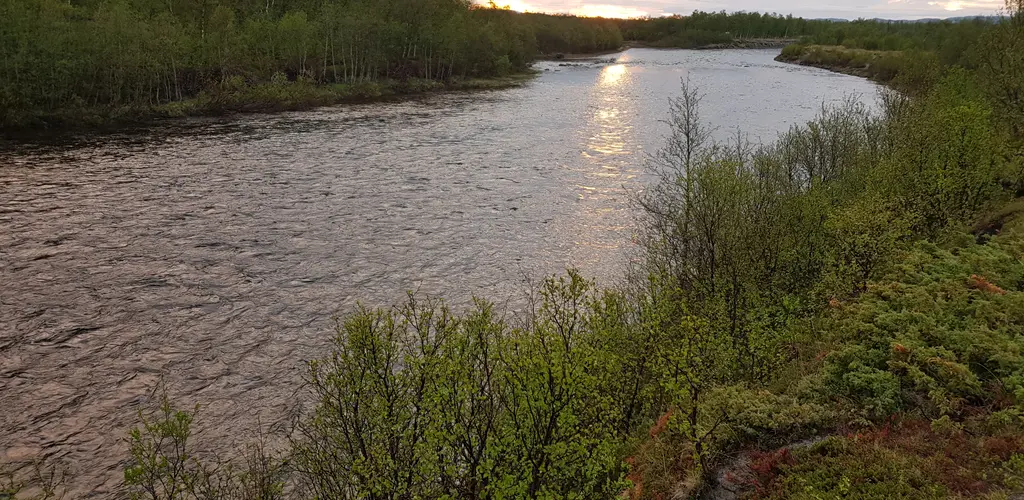 Lakselva 010618