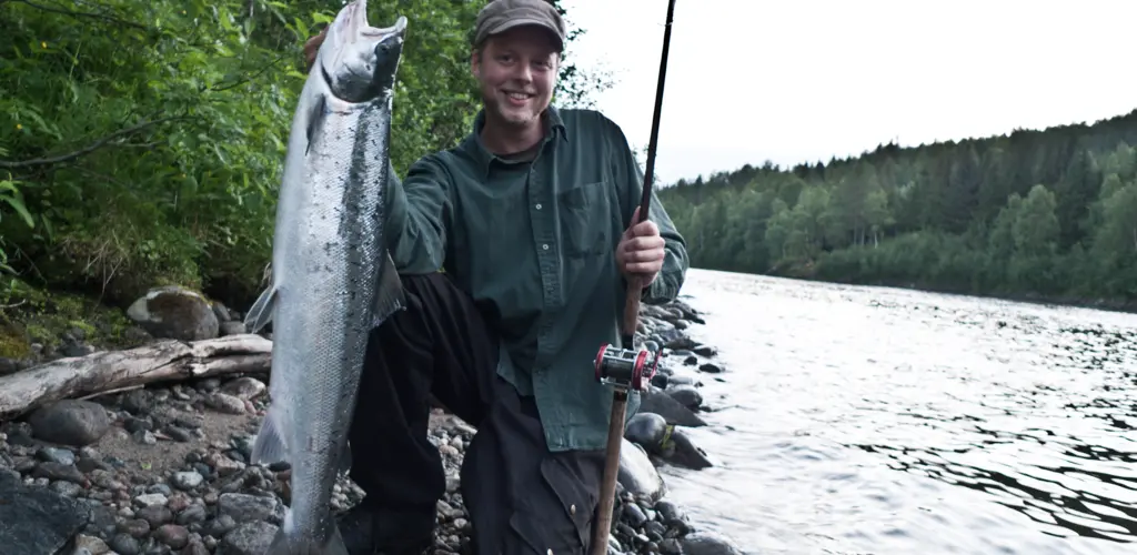 Målselva fangst