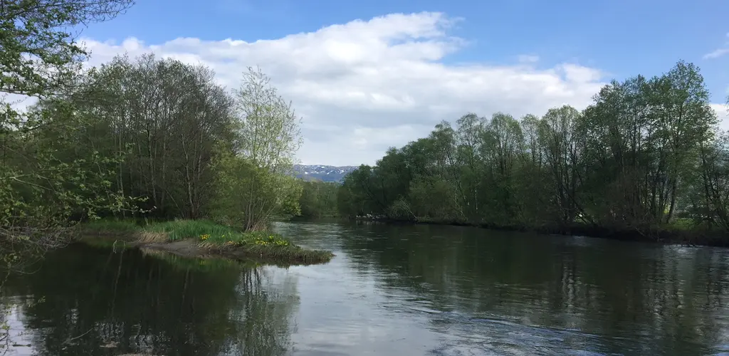 Rydding og Vår i Elva