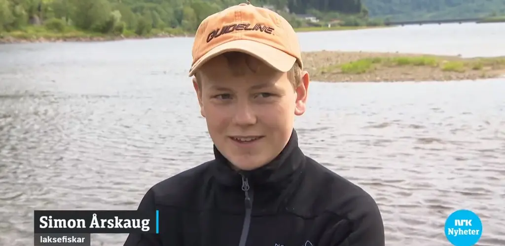 Ung laksefiskar