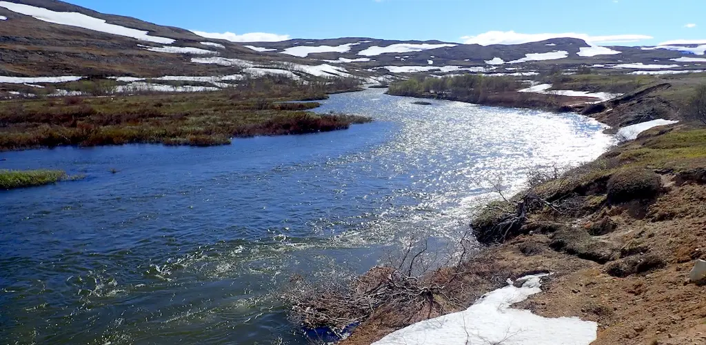 Flomstor Kongsfjordelva