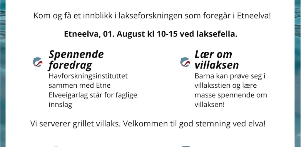 Villaksens dag II